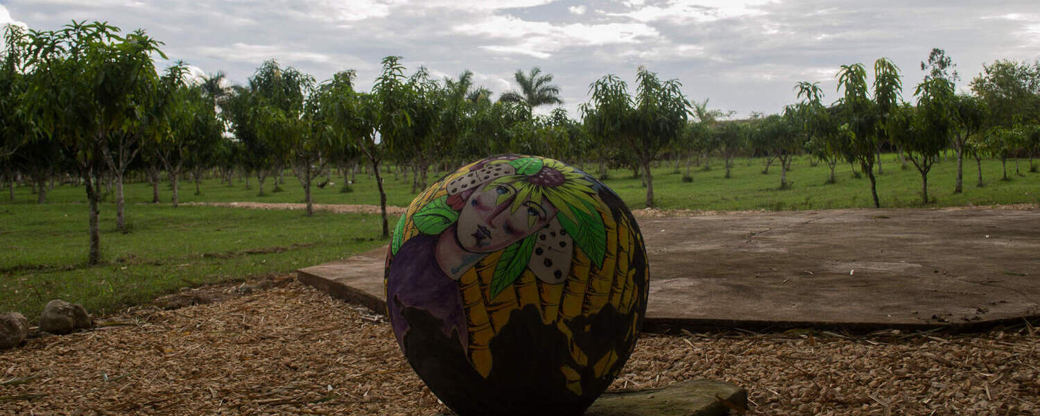 Sembrados agroecológicos Finca Coincidencias